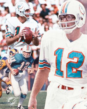 Image post by @losdolphins on Instagram