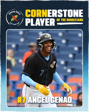 Image post by @akronrubberducks on Instagram
