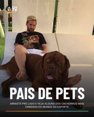 Image post by @cazetv on Instagram