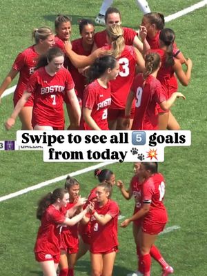 Image post by @terrierwsoc on Instagram