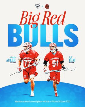 Image post by @nyatlas on Instagram