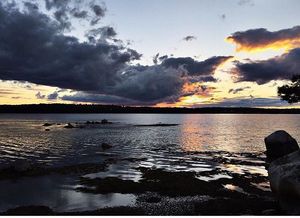 Image post by @themainemag on Instagram