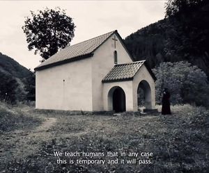 Image post by @_nature__pilled on Instagram