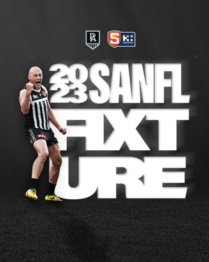 Image post by @PAFC on Twitter/X
