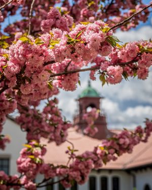 Image post by @montclairstateu on Instagram