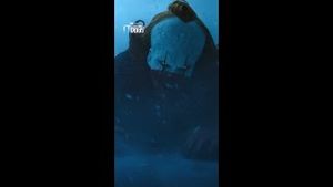 Video post by @warnerbrostv on YouTube