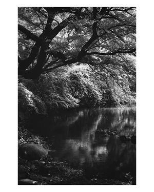 Image post by @W.39thPhotos on Facebook
