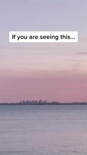 Video post by @arielledangelo on TikTok