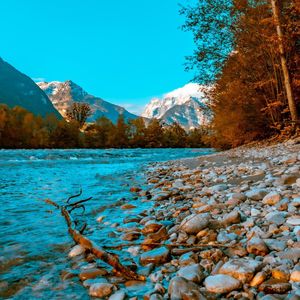 Image post by @cristan.nature.photography on Instagram