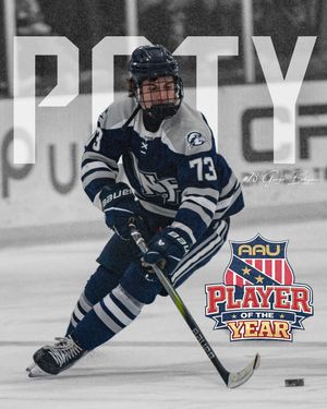 Image post by @unfhockey on Instagram