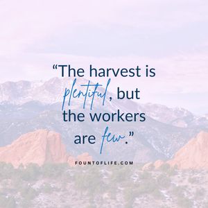 Image post by @fountoflifeco on Instagram