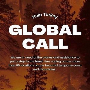 Image post by @thelastmerv on Instagram