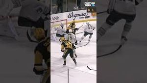 Video post by @flohockey on YouTube
