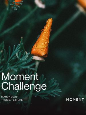 Image post by @moment on Instagram