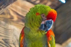 Image post by @gulfbreezezoo on Instagram