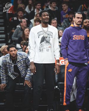 Image post by @PhoenixMercury on Twitter