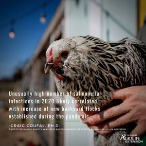 Image post by @txextension on Instagram