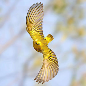 Image post by @bbcearth on Instagram