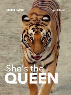 Video post by @bbcearth on TikTok