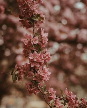 Image post by @kate.simple.life on Instagram
