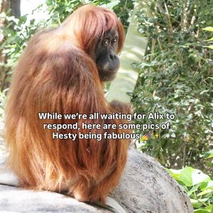 Image post by @denverzoo on Instagram