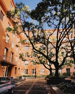 Image post by @ucberkeleylife on Instagram