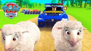 Video post by @pawpatrolofficial on YouTube
