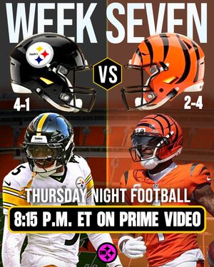 Image post by @steeler.nation.inc on Instagram