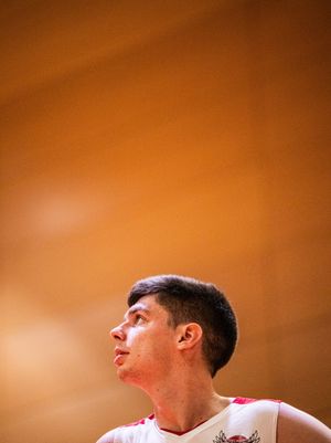 Image post by @solent_kestrels on Instagram