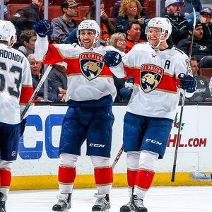 Image post by @flapanthers on Instagram