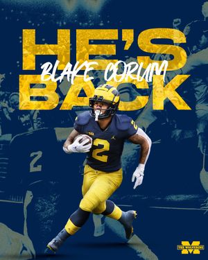 Image post by @TheWolverineOn3 on Twitter