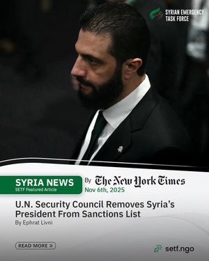 Image post by @syrianetf on Instagram