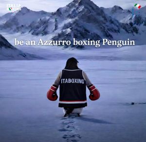 Video post by @federpugilistica on TikTok