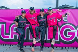 Image post by @FloFlamingos on Twitter