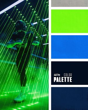 Image post by @seahawks on Instagram