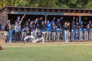Image post by @salve_baseball on Instagram