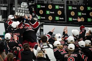 Image post by @zoeboosamra on Instagram