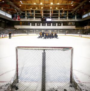Image post by @buffalosabres on Instagram