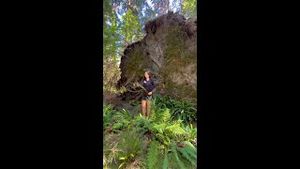 Video post by @westjet on YouTube