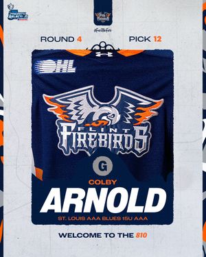 Image post by @flintfirebirds on Instagram
