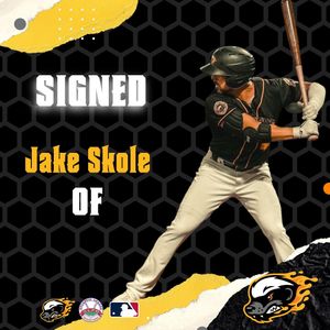 Image post by @gohoneyhunters on Instagram