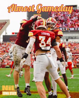 Image post by @iowastate.nil.store on Instagram
