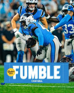 Image post by @panthers on Instagram