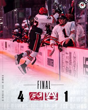 Image post by @ugahockey on Instagram