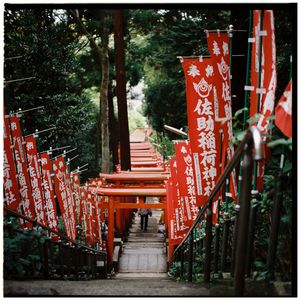 Image post by @avanash_e on Instagram