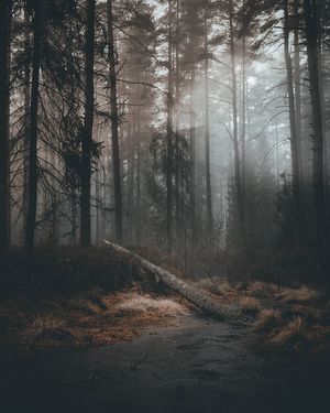 Image post by @kszczuka on Instagram