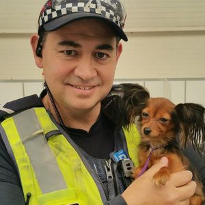 Image post by @victoriapolice on Instagram