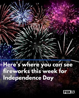 Image post by @fox13now on Instagram