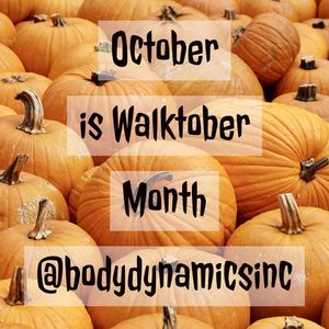 Image post by @bodydynamicsinc on Instagram