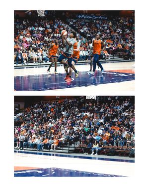 Image post by @connecticutsun on Instagram